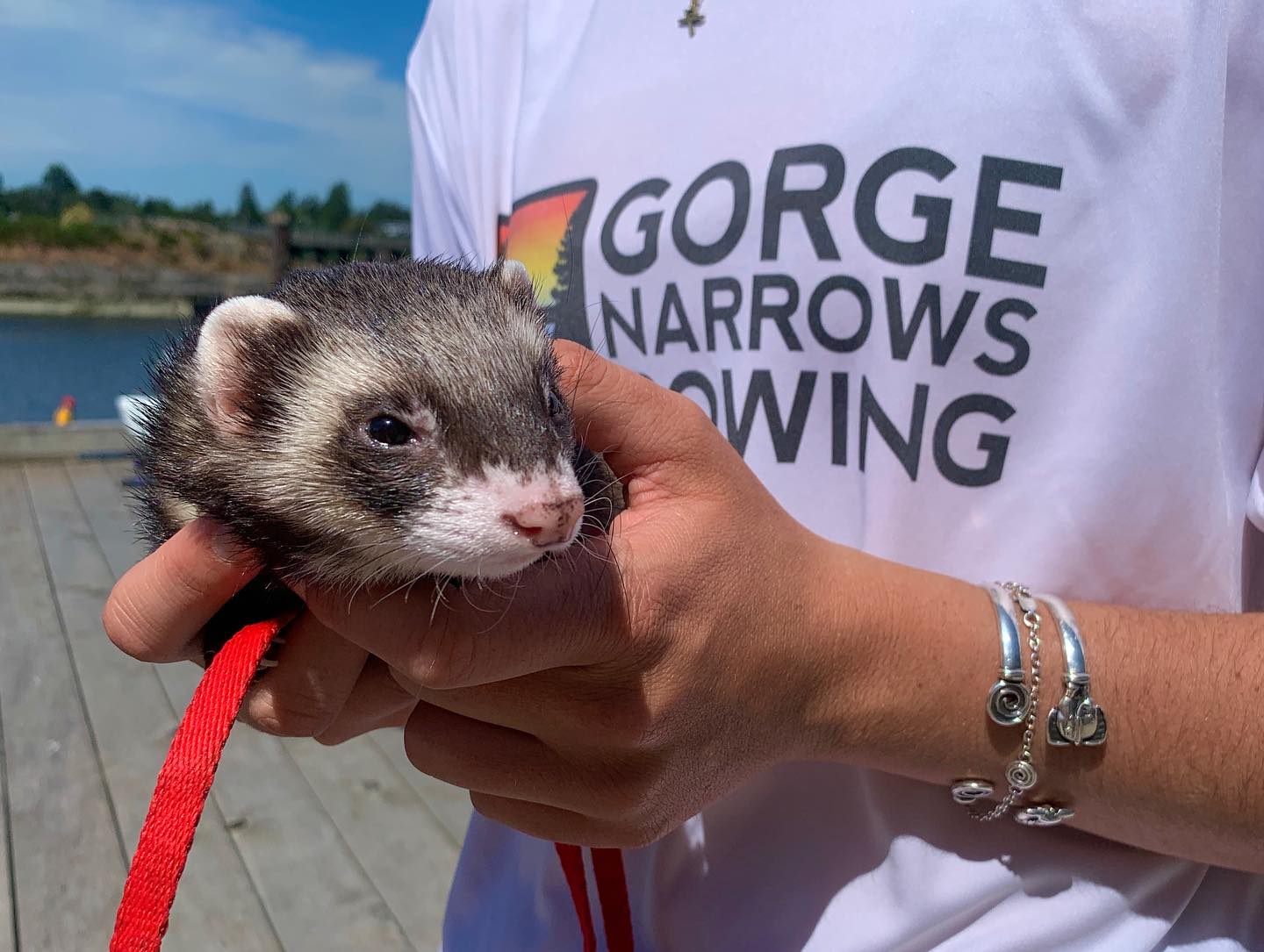 Someone in a Gorge Narrows Rowing shirt holding a ferret! They are NOT in a boat!