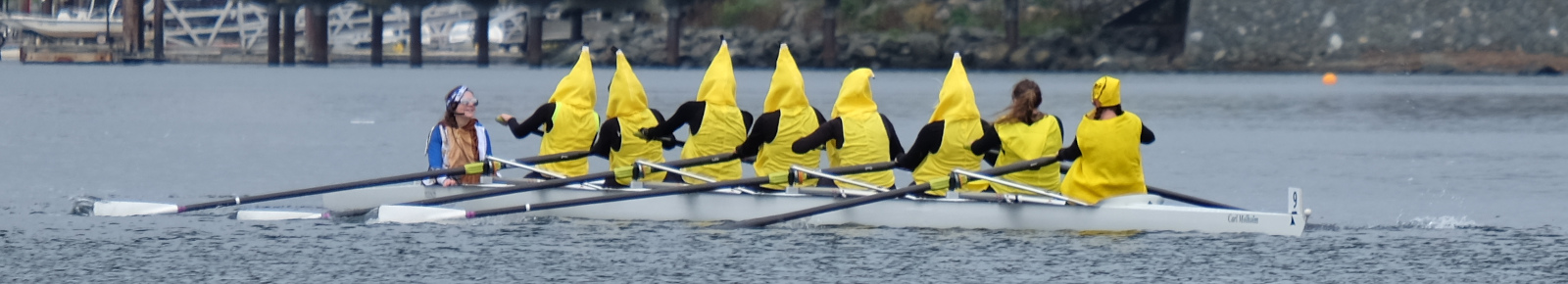 An eight person shell rowing at the HOG-TOG regatta. The crew are all wearing bright yellow banana costumes.