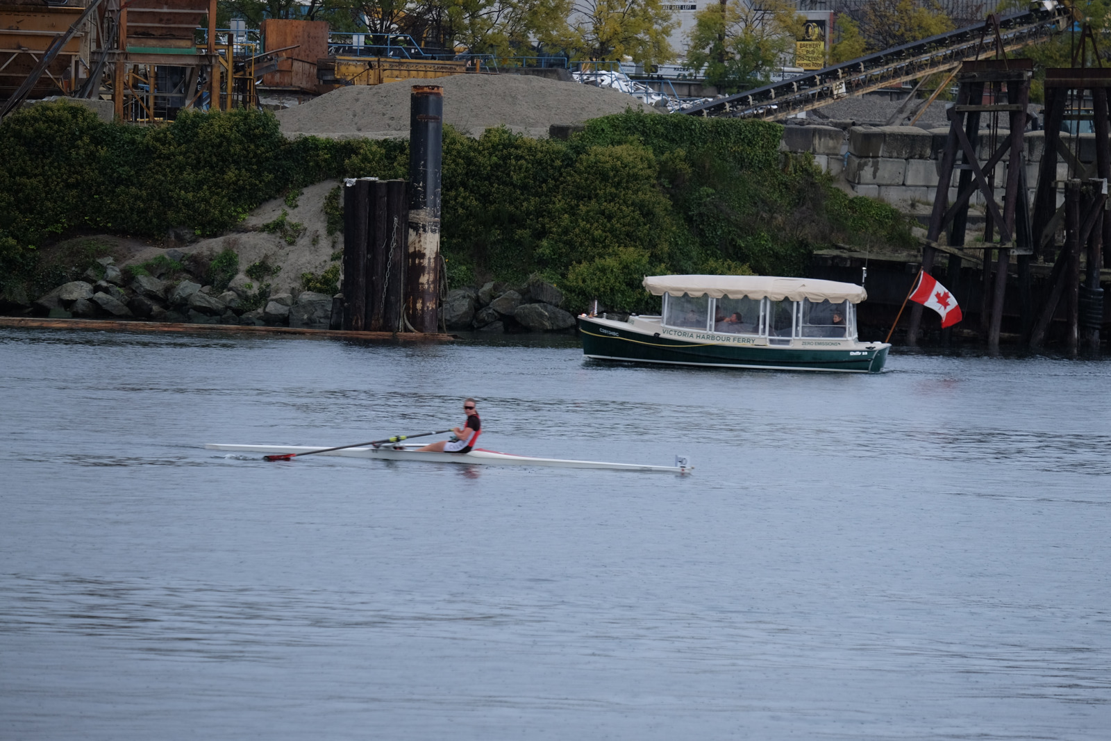 Bow 40 - Calgary Rowing Club - the finish is just past the ferry!