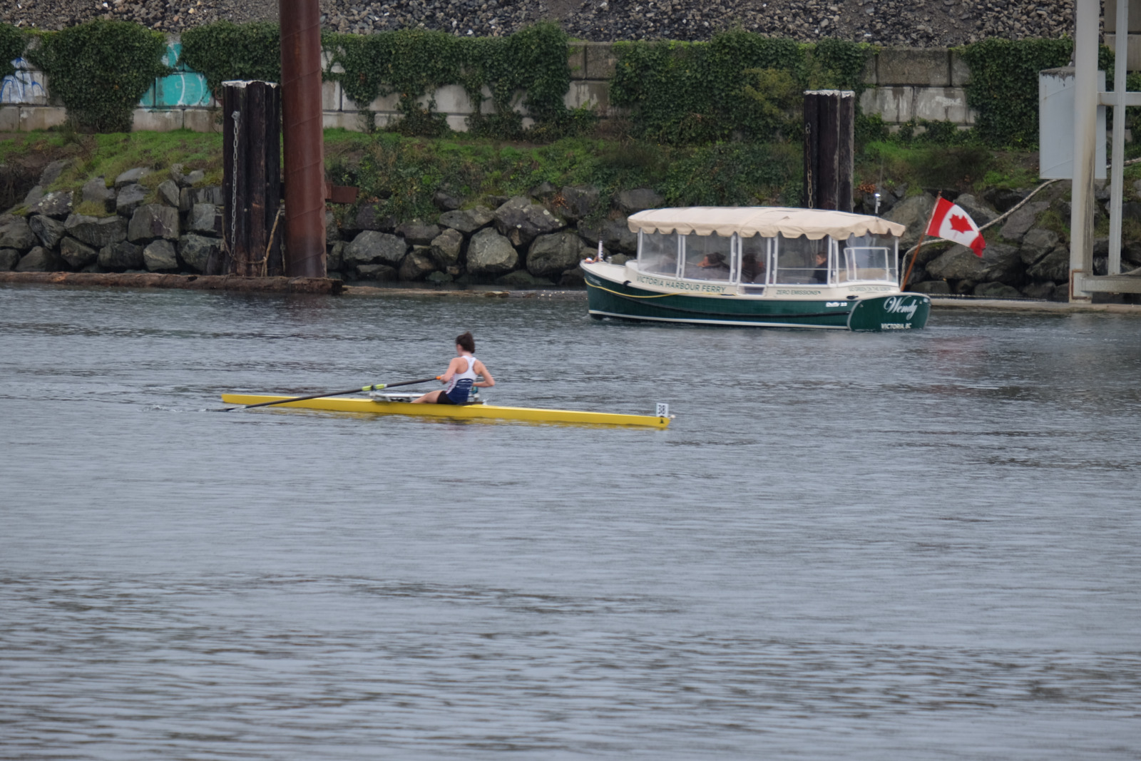 Bow 38 - Deep Cove - passing the ferry!