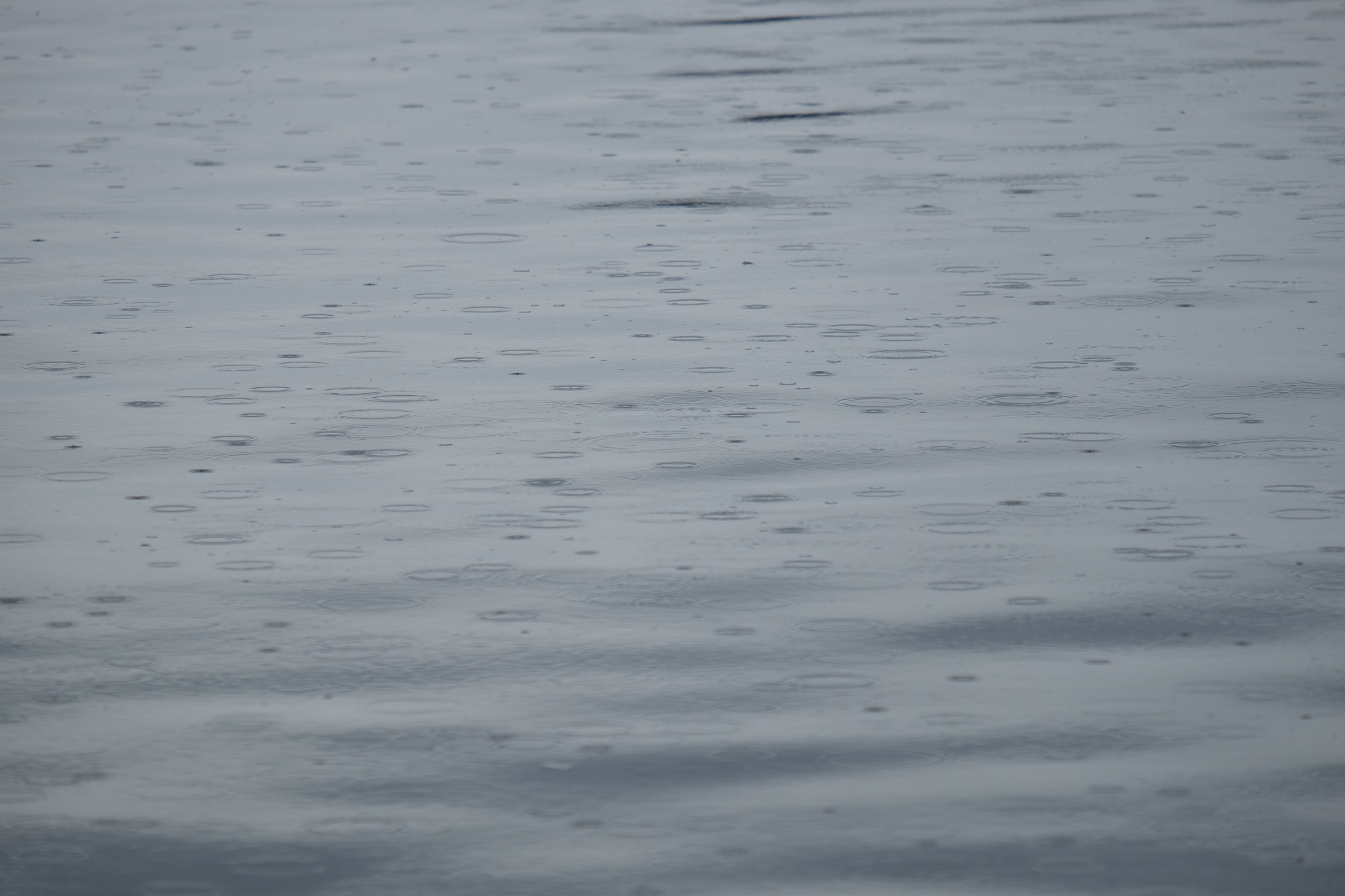 Raindrops falling on the Gorge Waterway.