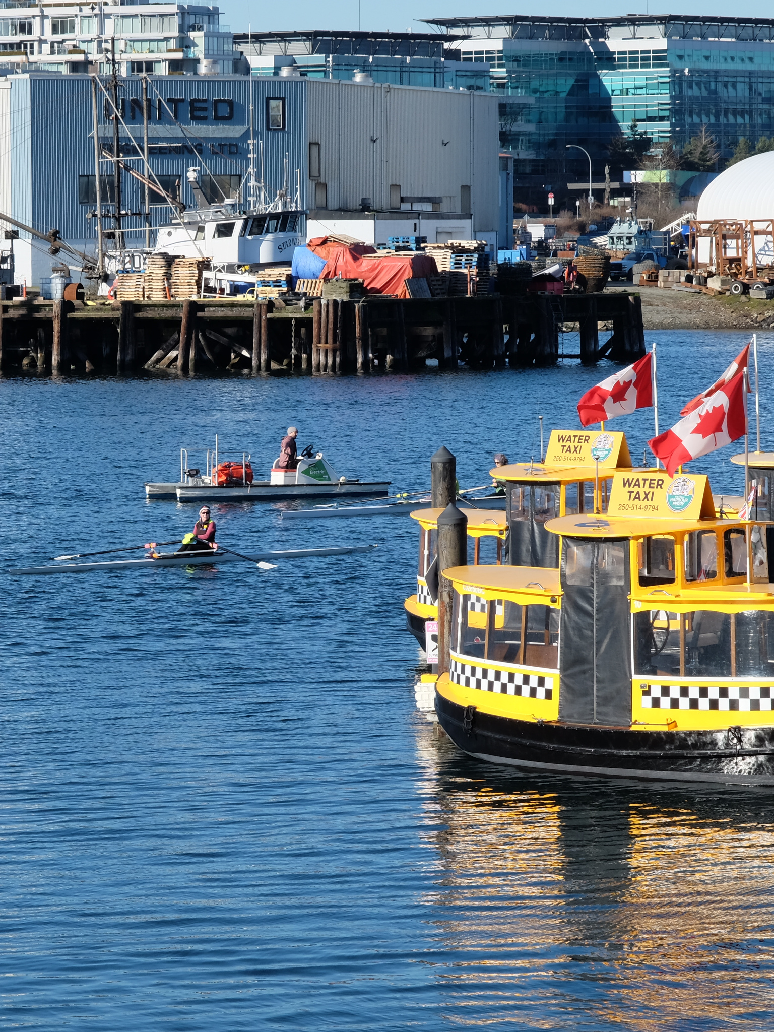 A double and a coach boat in the Upper Harbour after turning at the Johnson Street Bridge.