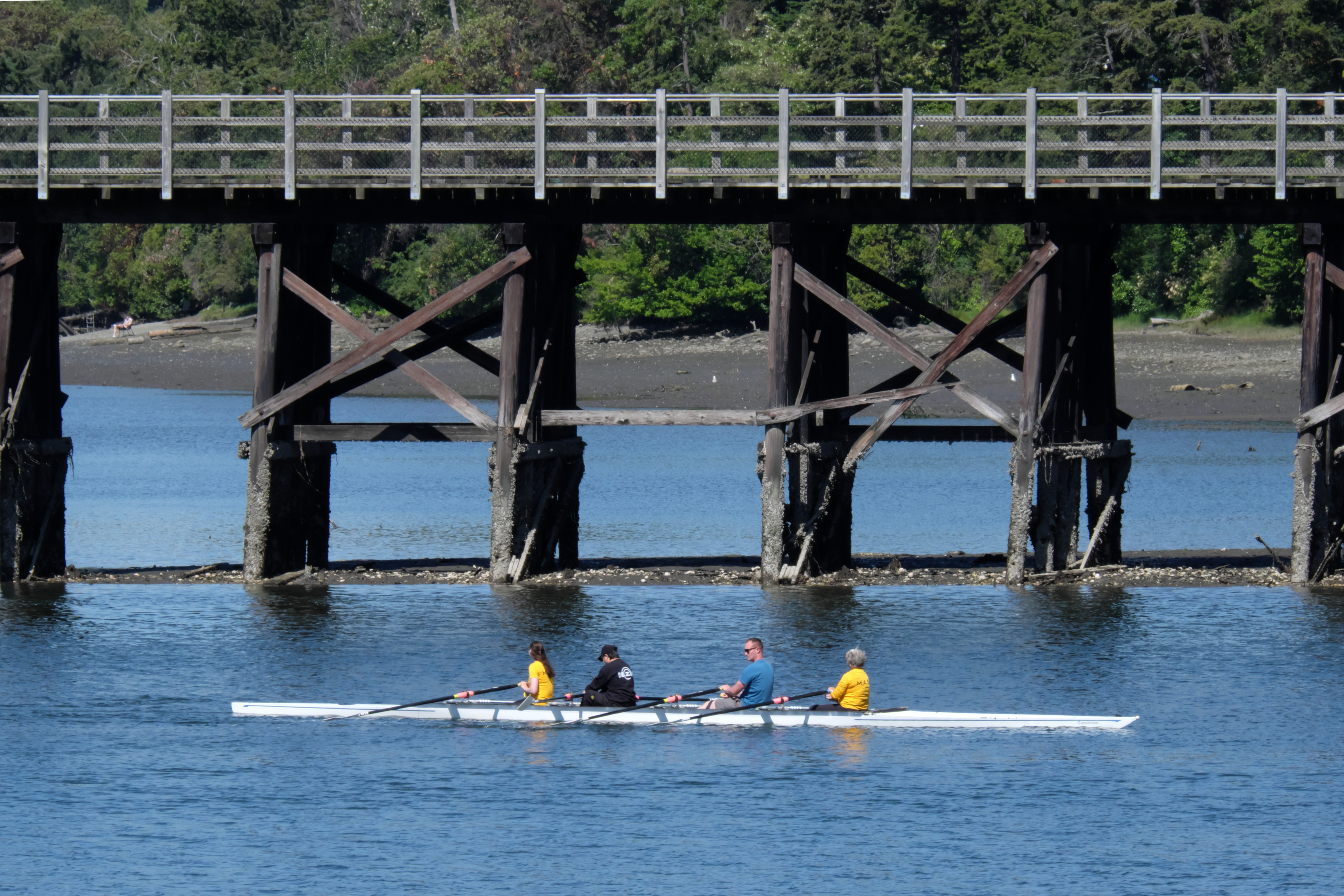 A quad boat in front of the Selkirk Trestle.