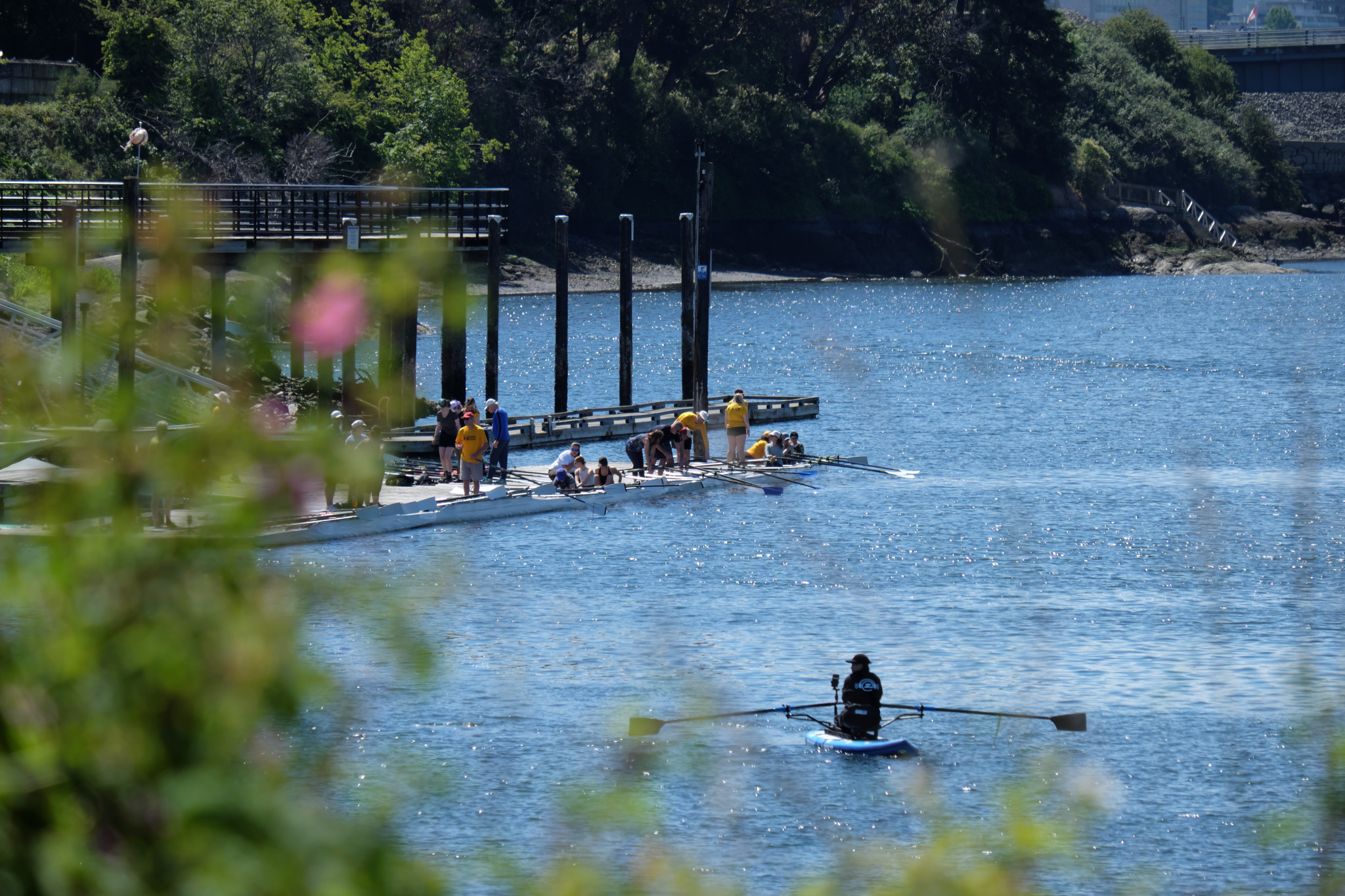 Boats on the dock getting ready to launch as seen from the Selkirk Trestle. On the left and bottom foreground there's a flowering bush. In the lower right someone is rowing an Oar Board.