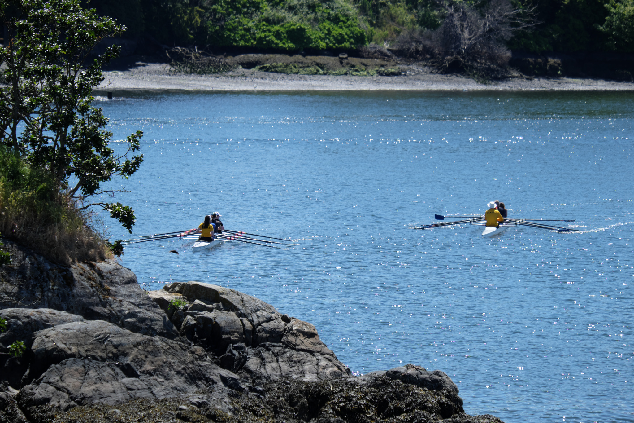 Two quad boats coming past Halkett Island towards the Selkirk Trestle. The island is visible in the lower left.