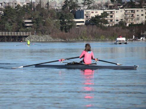 Adult Rowing