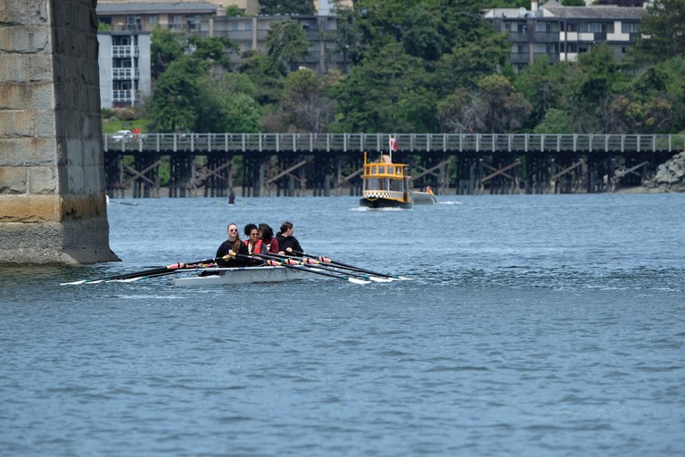 A quad rowing under the bridge. In the background you can see a Victoria Harbour Taxi.