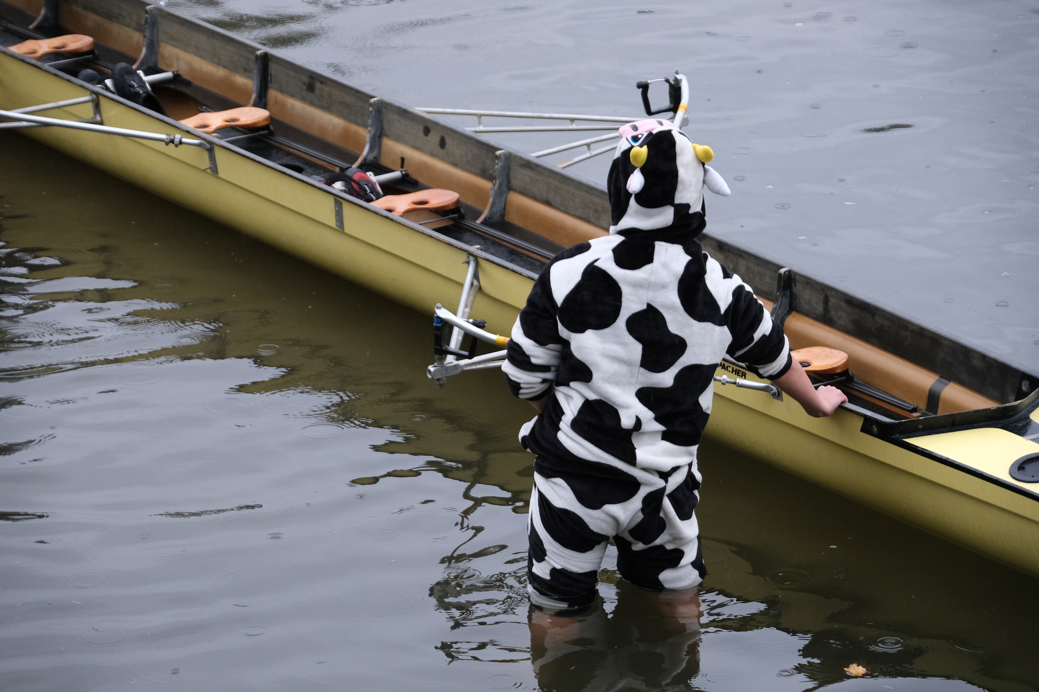 One of Noah's animals trying to get into the Ark!