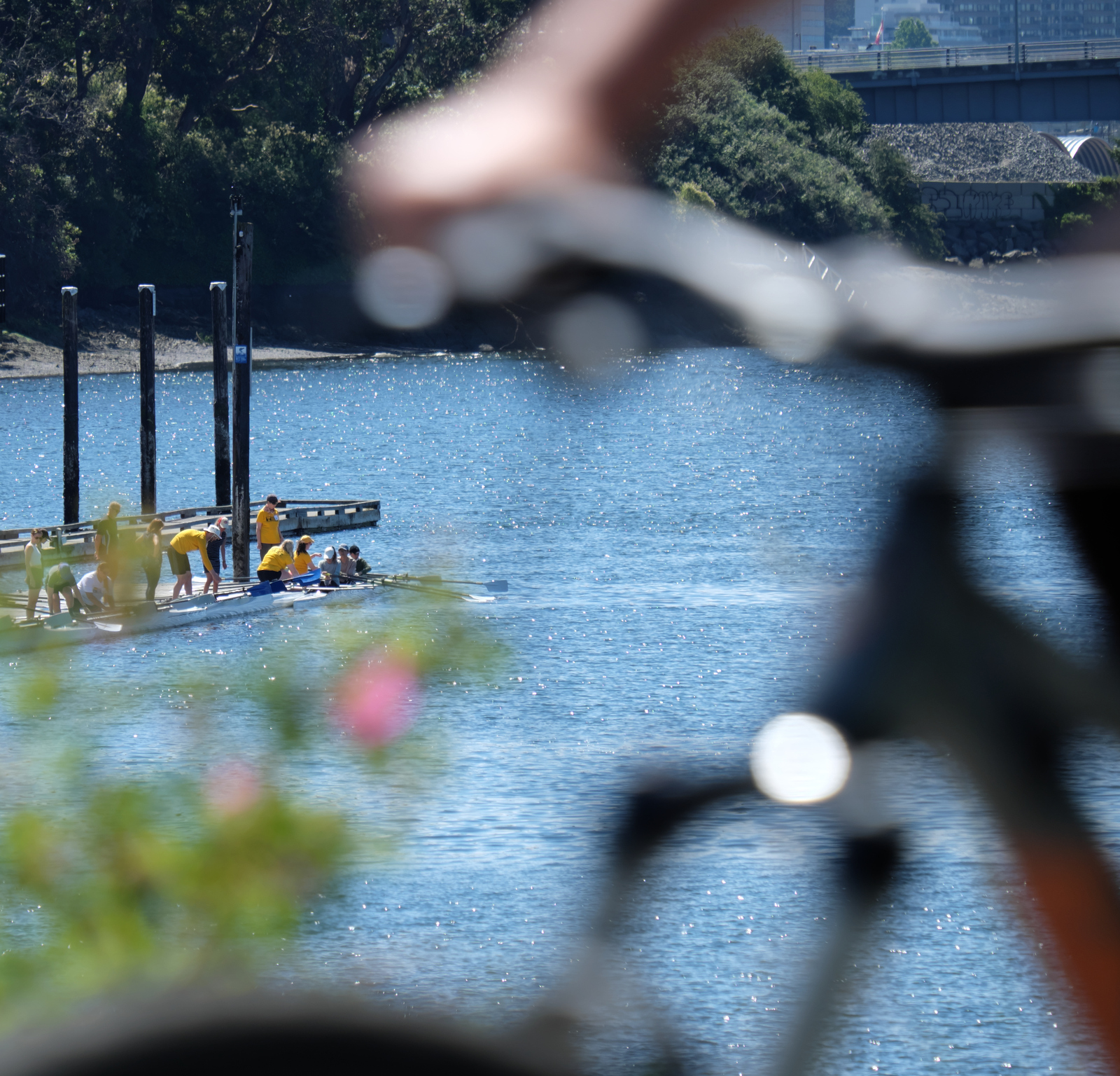 A bicycle on the Galloping Goose regional trail crosses the Selkirk Trestle with the rowing club in the background.