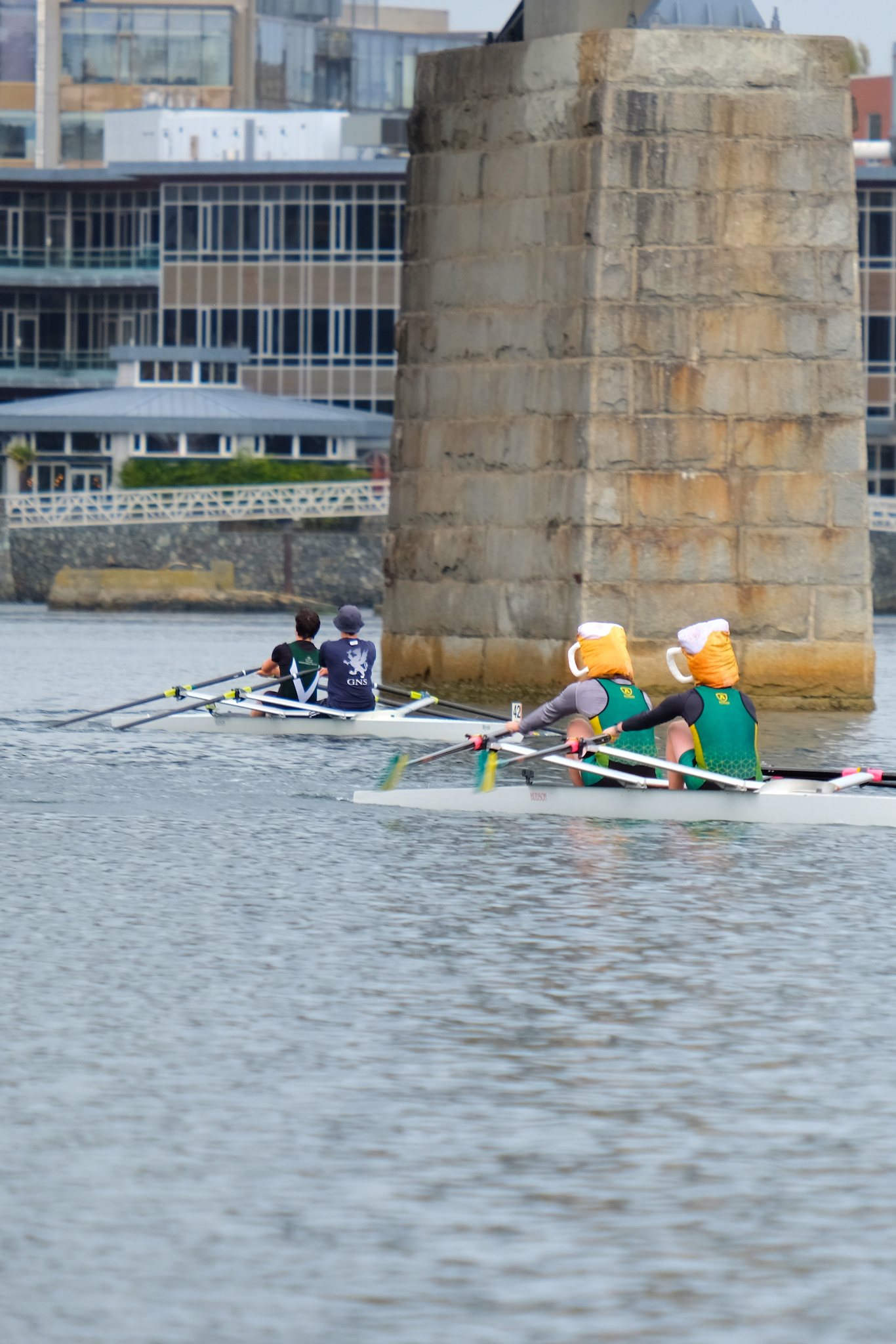 2024 Hog Tog rowers passing under the Point Ellice Bridge